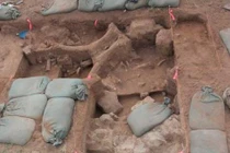 Đi săn quái vật khắp nơi, ai ngờ 2 con... tự trồi lên trước nhà