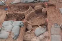 Đi săn quái vật khắp nơi, ai ngờ 2 con... tự trồi lên trước nhà