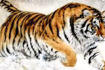 3 con giáp đạp trúng hố vàng, tiền vào như nước trong tháng 6/2022