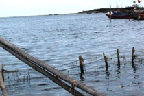 Cứu sống 4 ngư dân dạt biển vì sóng đánh chìm thuyền