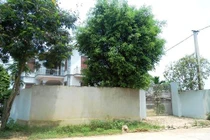 Bố ép 3 con nhỏ cùng uống thuốc độc