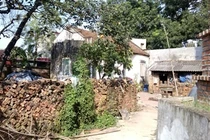 Thai phụ chấp nhận bị hiếp dâm để bảo vệ con