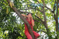 Phản đối chặt cây, hai phụ nữ vắt vẻo trên cây ăn uống
