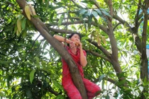 Phản đối chặt cây, hai phụ nữ vắt vẻo trên cây ăn uống