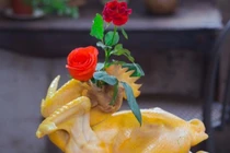 View - Loại cây được ví như "vàng đen", cho quả 20 triệu/kg | Báo Tri thức và Cuộc sống - TIN TỨC PHỔ BIẾN KIẾN THỨC 24H