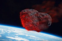 'Hắc mỹ nhân' đắt hơn vàng ròng, tỷ phú xếp hàng khao khát