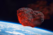 'Hắc mỹ nhân' đắt hơn vàng ròng, tỷ phú xếp hàng khao khát