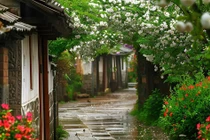 Sang tháng 8 Âm, 3 con giáp tiễn xui đón vui, sự nghiệp đột phá