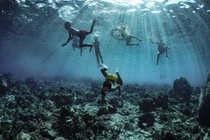 Choáng váng bộ tộc sống dưới nước, có 2 bộ phận to bất thường