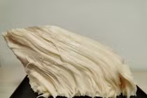 Vớt được tảng thịt khủng, ai ngờ là báu vật giá nghìn tỷ đồng