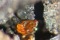 Bất ngờ tìm thấy viên đá quý 'vô song' ở Nam Cực