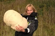 Tưởng tảng đá ven đường, lại gần mới biết... của hiếm ít gặp 