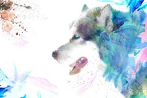 Tài giỏi gặp thời, 3 tuổi phất lên vun vút, tiền cứ vơi lại đầy