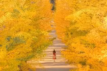 Ngày sinh Âm lịch cát tường, càng già càng nhiều phước lành