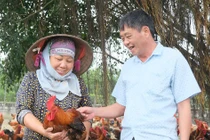 Đại gia Thái Bình mỗi người làm một cách mà đều thành công