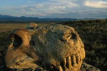 Những cuộc đại tuyệt chủng đáng sợ nhất, định hình lại sự sống Trái đất