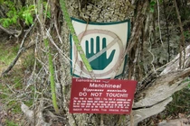 Loài cây kịch độc đứng đầu thế giới về khả năng hủy diệt