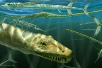 Chân dung sinh vật lạ giống hệt rồng và quái vật hồ Loch Ness