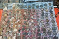 Dùng máy dò kim loại, bất ngờ tìm thấy kho báu khủng