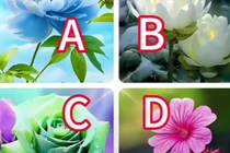 Loài hoa bạn yêu thích tiết lộ điều bất ngờ vào 2024