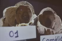 Sự thật xác ướp người ngoài hành tinh Peru khiến thế giới sững sờ 