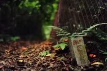 Bí mật động trời trong "cấm địa" 700 năm ở Trung Quốc, ai cũng sợ