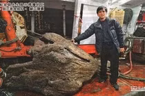 Nhặt được khúc gỗ lạ, nào ngờ 'báu vật' cả đời không dám nghĩ 