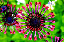 Ai sinh ngày Âm lịch này Trời định may mắn, giàu sang 