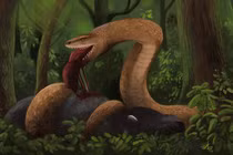 Siêu mãng xà 47 triệu tuổi lộ diện gây kinh ngạc giới khảo cổ