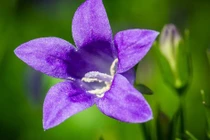 Ai sinh ngày Âm lịch này, tháng 11 tiền của về tay