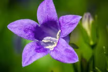 Ai sinh ngày Âm lịch này, tháng 11 tiền của về tay