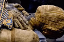 Vì sao hổ phách có thể 'đóng băng' cả thời gian?