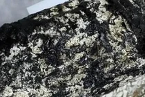 Nhặt được 'cục đá lạ', ngư dân đổi đời sau một đêm 