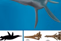 Lộ diện quái vật 80 triệu tuổi, ngoại hình kỳ dị đến giật mình