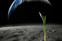 Xác định được sự sống ngoài hành tinh rất gần Trái Đất