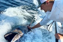 Đi câu cá cùng bạn, bất ngờ đụng trúng 'thuỷ quái' cực hiếm