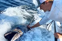 Đi câu cá cùng bạn, bất ngờ đụng trúng 'thuỷ quái' cực hiếm