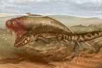 Vẻ ngoài kỳ lạ của 'nàng tiên cá' 20 triệu tuổi