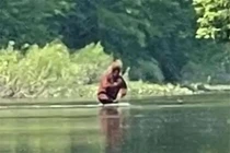Hình ảnh mới nhất chứng minh Bigfoot hoàn toàn có thật?