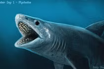 Lộ diện thủy quái mang hàm răng kim loại, có thể nghiền nát rùa biển