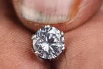 Độc đáo loài cây chỉ mọc trên đất có kim cương