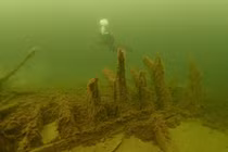 Lại gần “tàu ma” 500 tuổi, hoảng hốt thấy quái vật hiện hình 