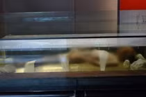 Mở mộ cổ, bất ngờ thi thể mỹ nhân 2.000 tuổi... “thở dài” 