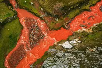  Dòng sông đỏ rực ở Peru, chỉ đổi màu vào mùa mưa