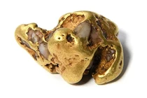 Đi lặn bất ngờ đụng trúng cục vàng 1,6 tỷ đồng