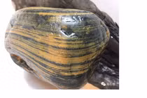 Nhặt được viên đá hiếm, được trả 500 tỉ nhưng quyết không bán vì...