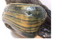 Nhặt được viên đá hiếm, được trả 500 tỉ nhưng quyết không bán vì...