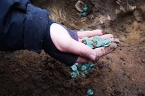 Bất ngờ tìm thấy 'kho báu' khổng lồ khi đang cày ruộng