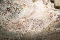 Phát hiện bức tranh hang động 'lâu đời nhất thế giới'