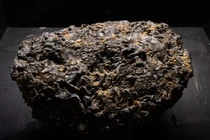  Đi dạo vấp phải 'tảng đá' kỳ dị, không ngờ lại là 'báu vật'